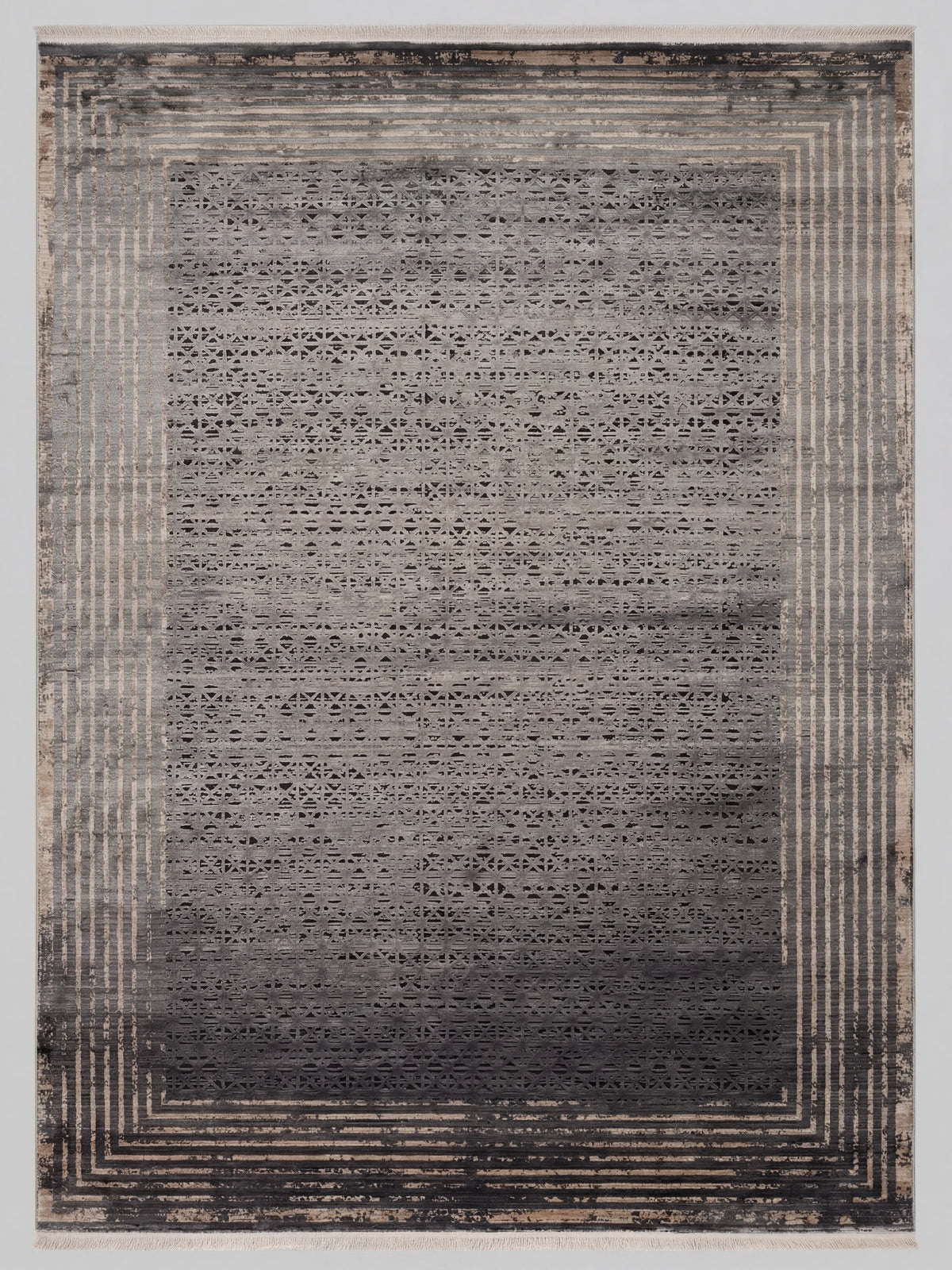 KAVI-1019